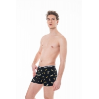 boxer johana