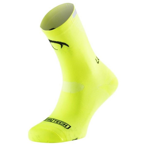 biker evo pistacho