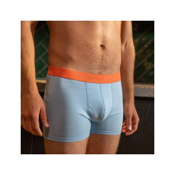 boxer blue stripes