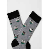 BeOwl gris