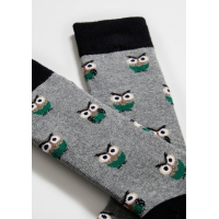 BeOwl gris