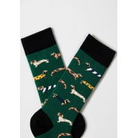 BePets verde