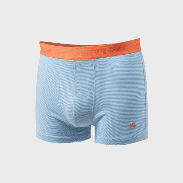 boxer blue stripes