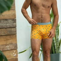 boxer saguaro