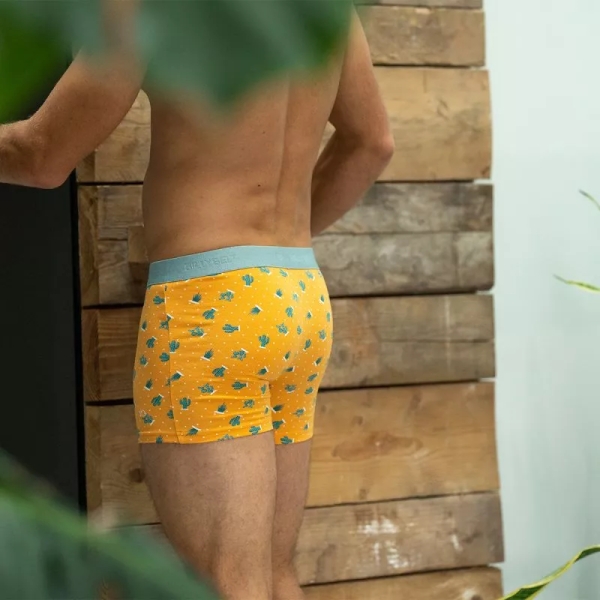 boxer saguaro