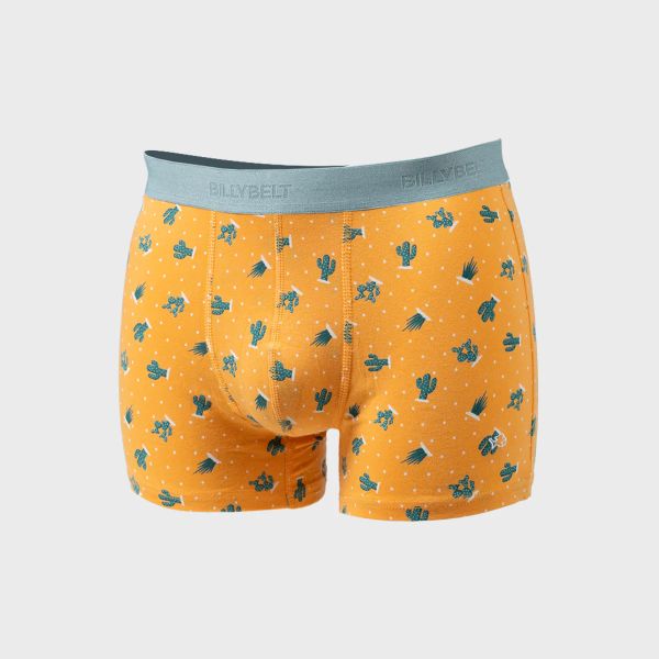 boxer saguaro