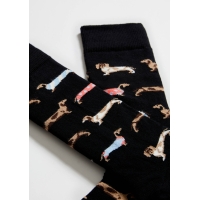 BePets negre