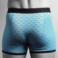 bamboo boxer ducks