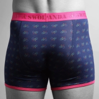 bamboo boxer bicycles