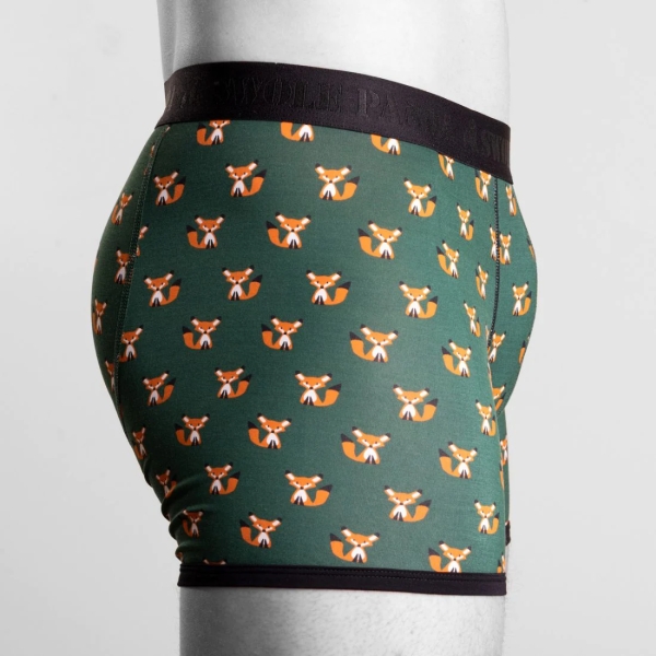 bamboo boxer foxes