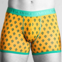 bamboo boxer cactus