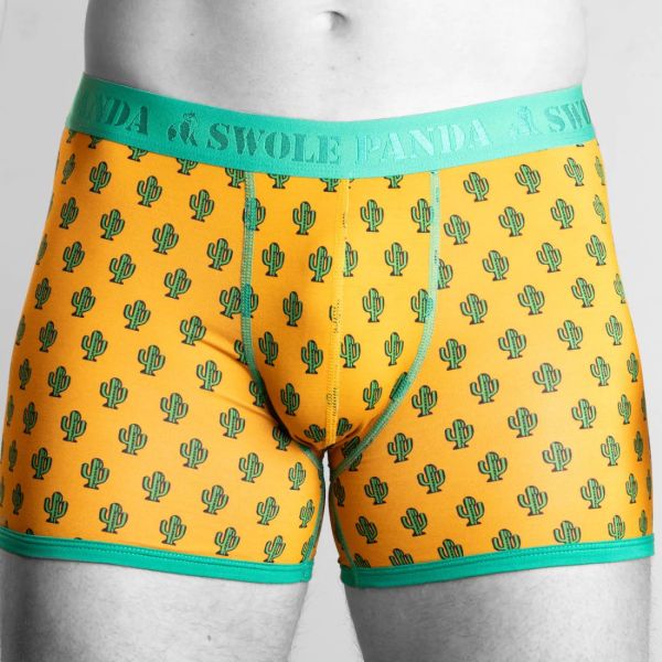 bamboo boxer cactus