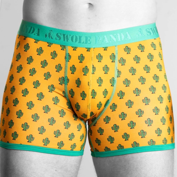 bamboo boxer cactus