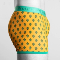 bamboo boxer cactus