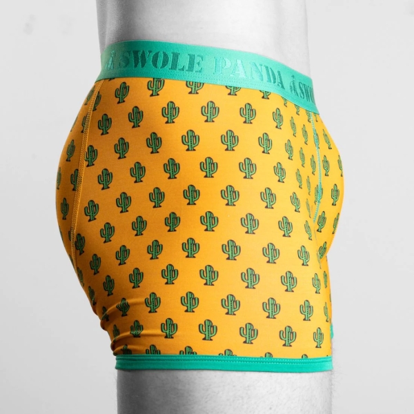 bamboo boxer cactus