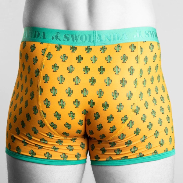 bamboo boxer cactus