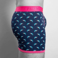 bamboo boxer sharks