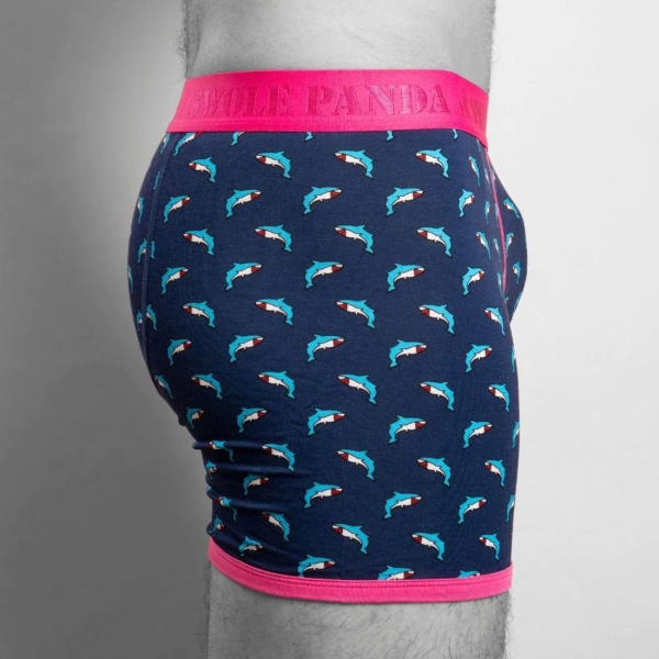 bamboo boxer sharks