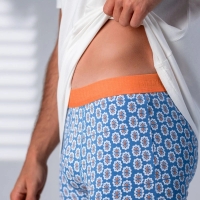 boxer azulejo
