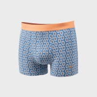 boxer azulejo
