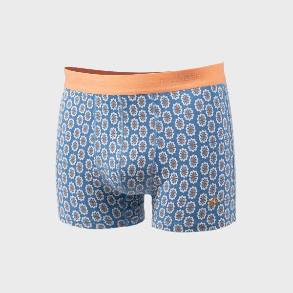 boxer azulejo
