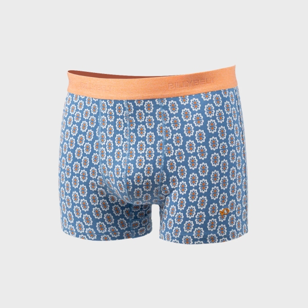 boxer azulejo