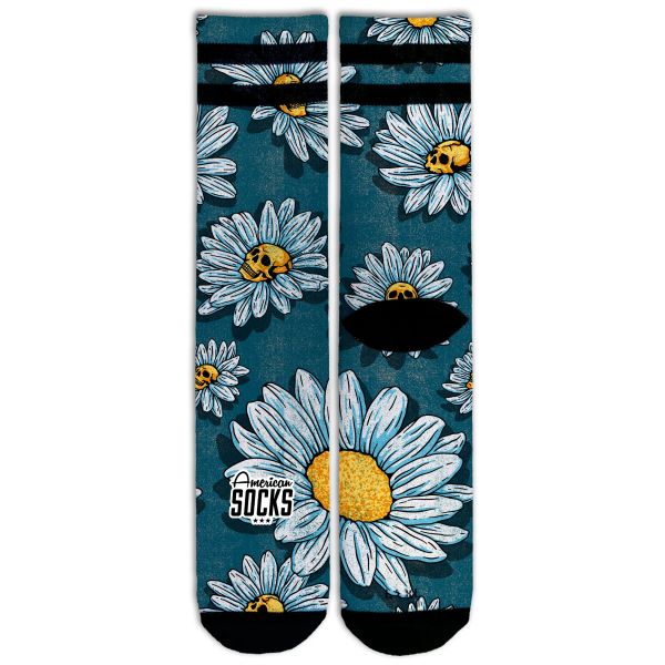 daisies