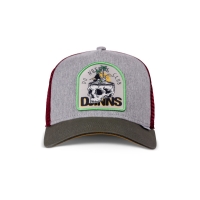 trucker cap dnc skull