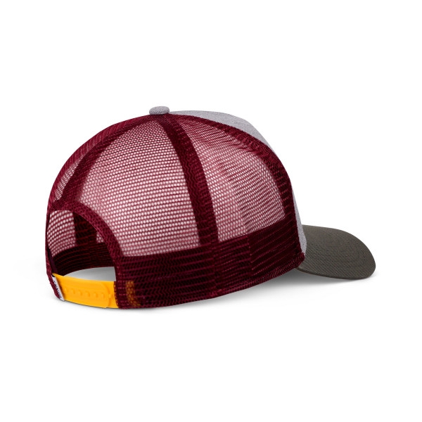 trucker cap dnc skull