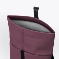 Hajo Mini Lotus Eggplant