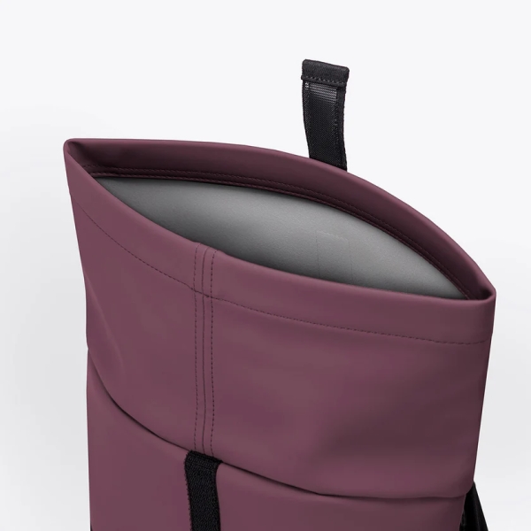 Hajo Mini Lotus Eggplant