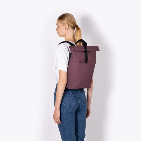 Hajo Mini Lotus Eggplant