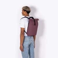 Hajo Mini Lotus Eggplant