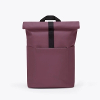 Hajo Mini Lotus Eggplant
