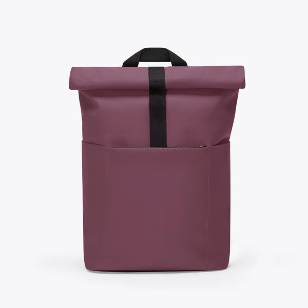 Hajo Mini Lotus Eggplant