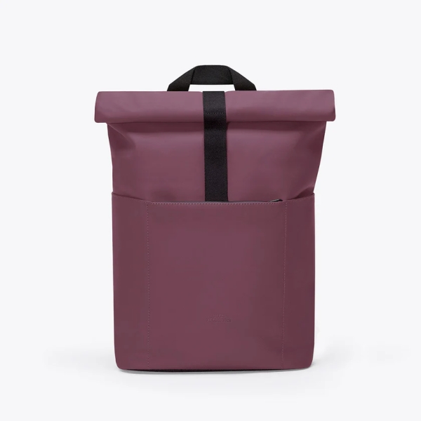 Hajo Mini Lotus Eggplant