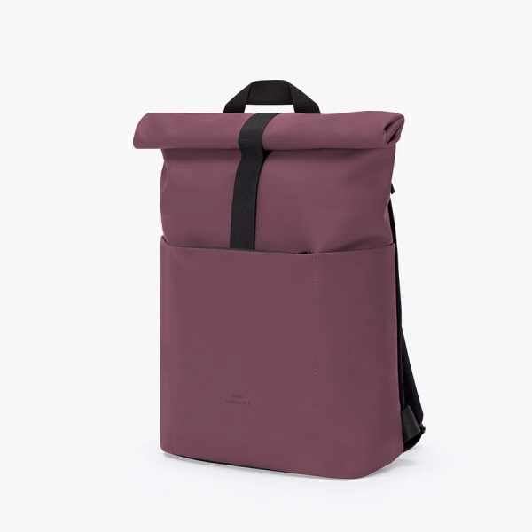 Hajo Mini Lotus Eggplant