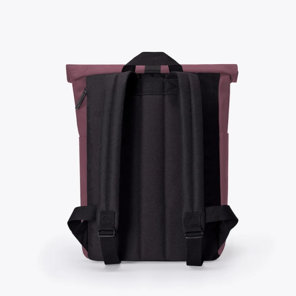 Hajo Mini Lotus Eggplant