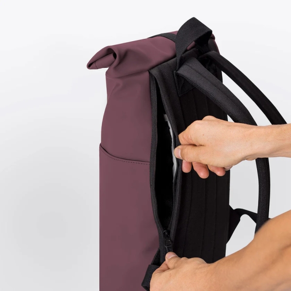Hajo Mini Lotus Eggplant
