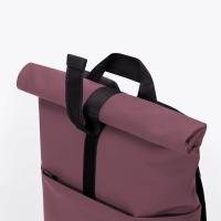 Hajo Mini Lotus Eggplant