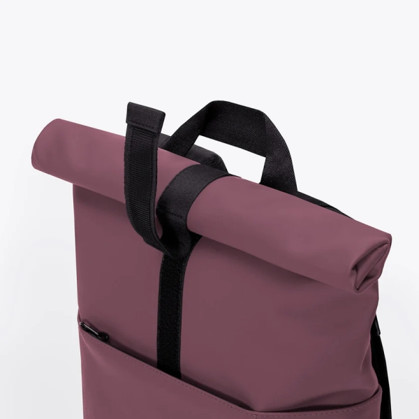 Hajo Mini Lotus Eggplant