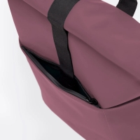 Hajo Mini Lotus Eggplant
