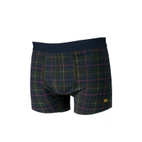 boxer highland