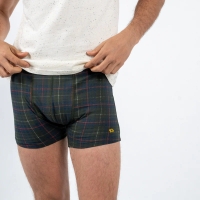 boxer highland