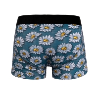 daisies boxer brief