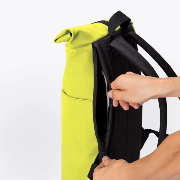Hajo Mini Lotus Acid Lime