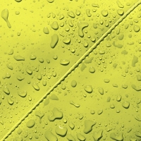 Hajo Mini Lotus Acid Lime