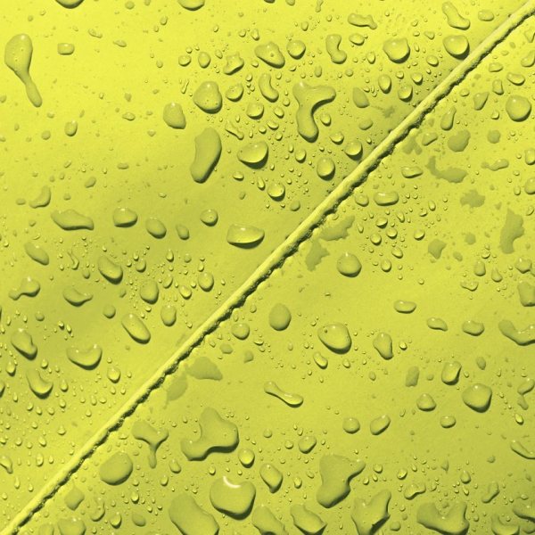 Hajo Mini Lotus Acid Lime