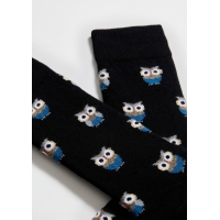 BeOwl