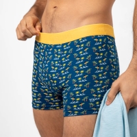 boxer aloa
